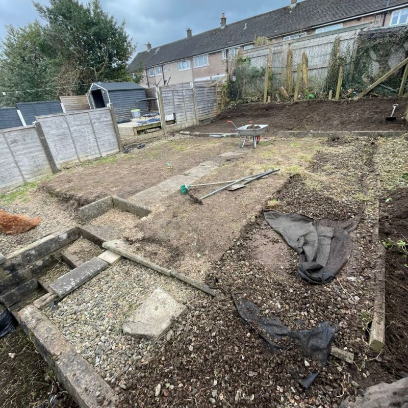 Professional weed control service keeping gardens weed-free