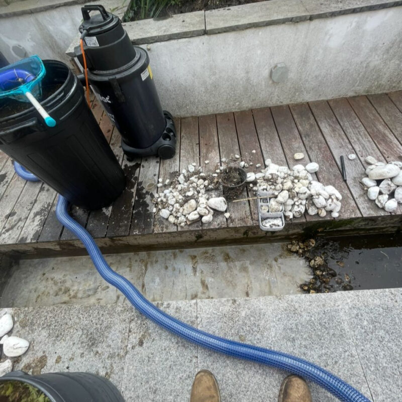 1f3252b0-9774-430d-a642-2a56091ea4db