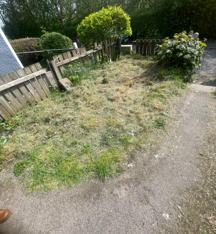 6b6c2a0d-01f5-4046-bcc4-6bf06c59583a