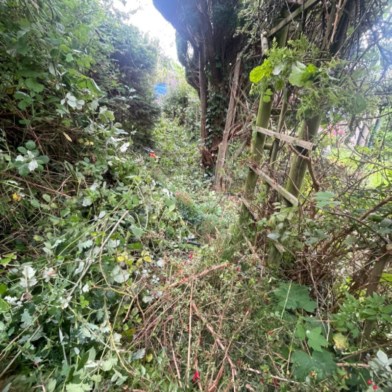 8909c482-8f65-41d3-a120-67459671b999