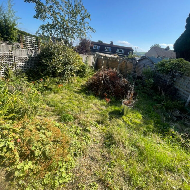 9af63b84-e990-4b9a-b6da-d6859d94245b