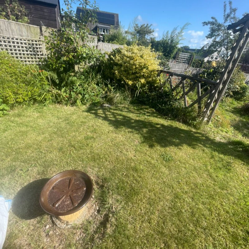 bf965ed7-f7fc-4b6d-8e48-8d6afefab385