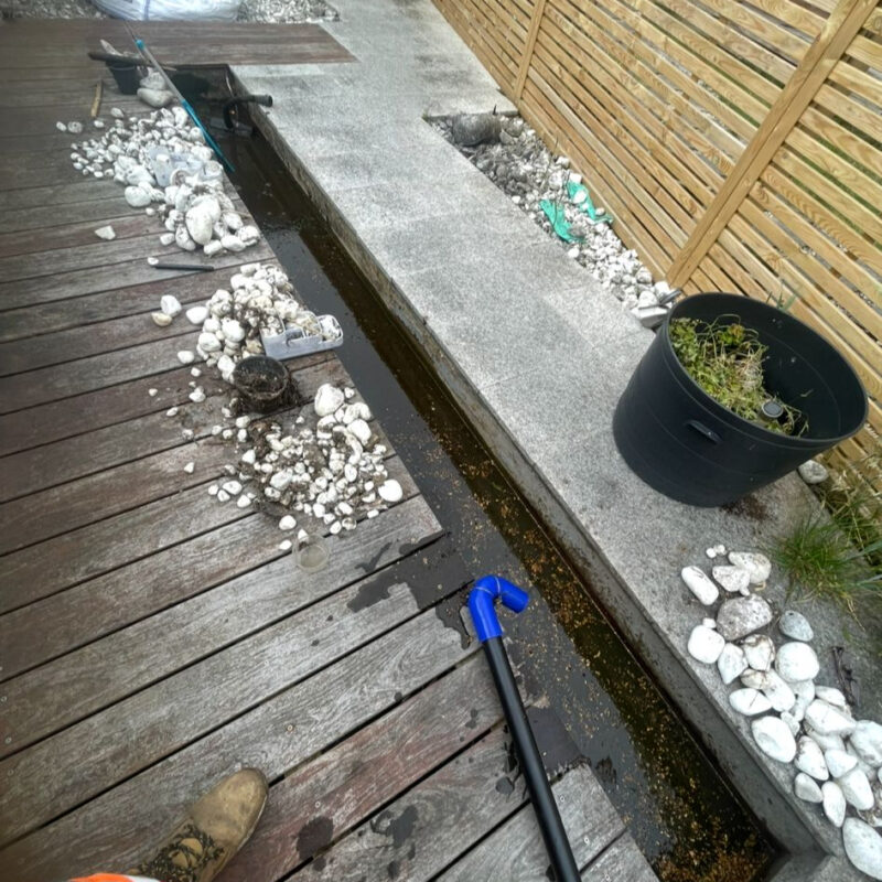 d8eb61a7-eae5-40ce-8957-a5a9c7858ce9