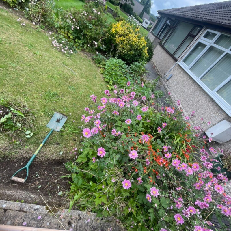 f9e61d5c-4f0e-41c6-b774-b1a52c219981